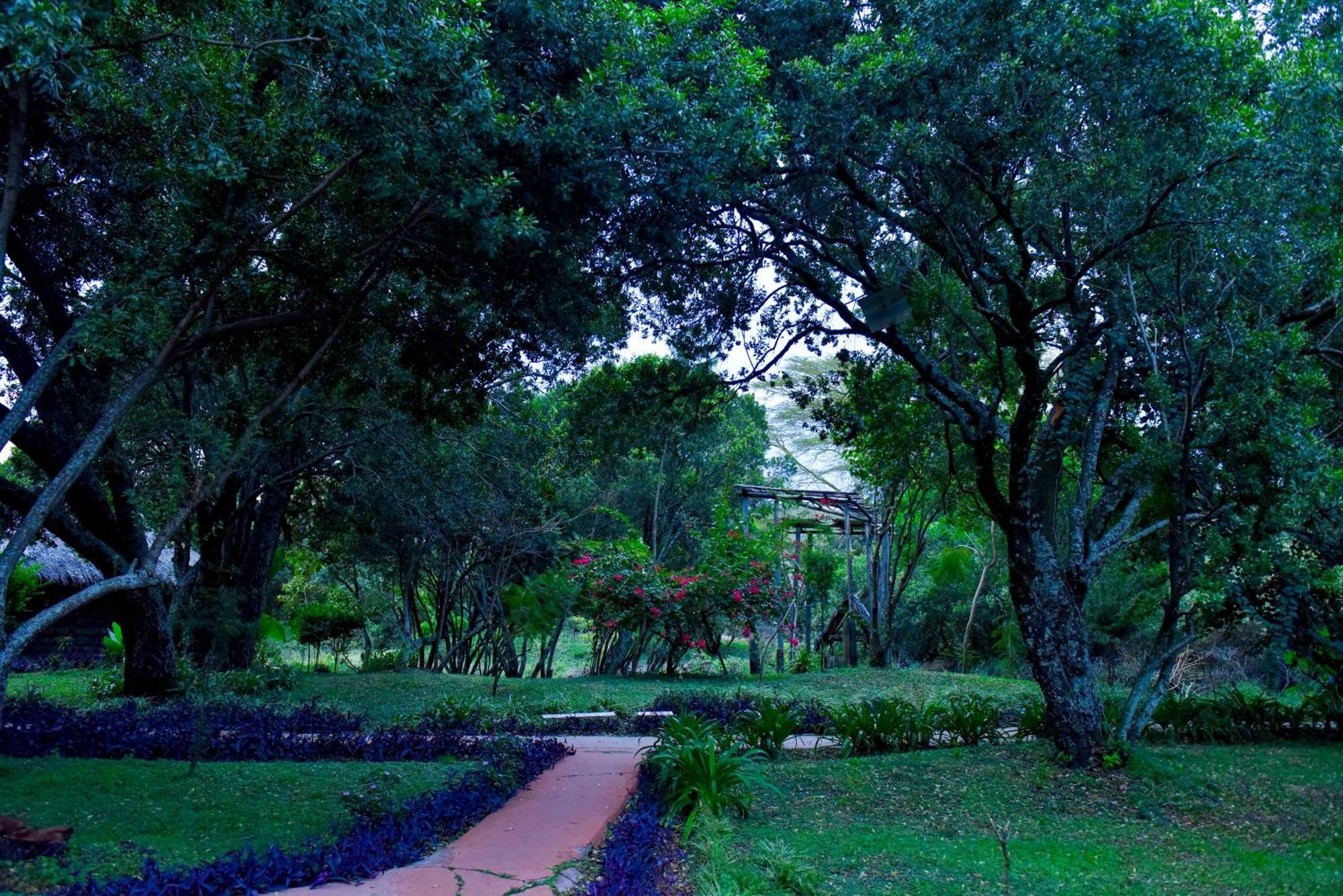 Mara Chui Eco-Resort Sekenani Exterior photo